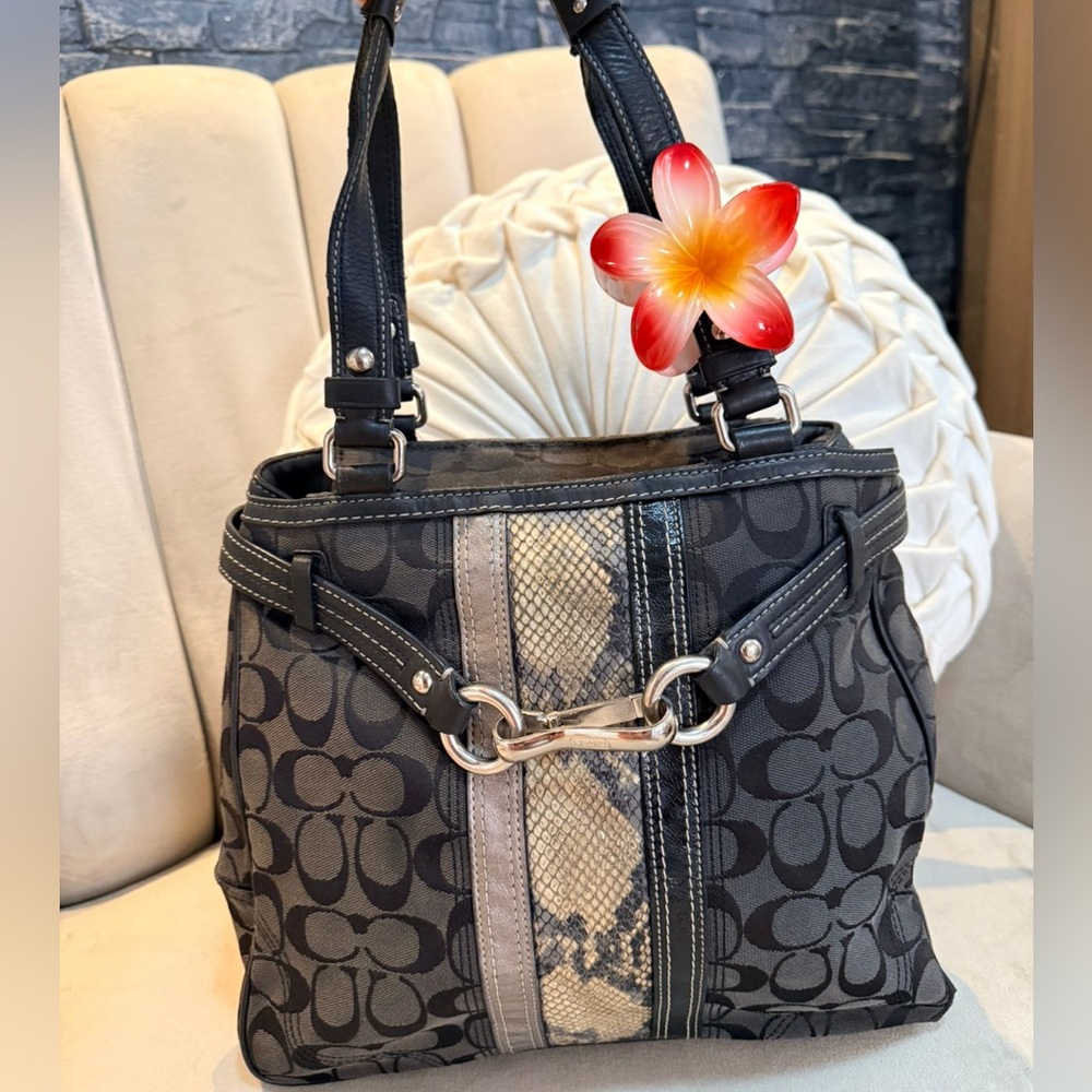 Coach Hamptons Signature Python Stripe Carryall Tote Shoulder Bag Purse #F13993